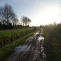 DSC04033
