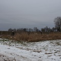 DSC04491